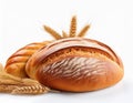Wheat bread and Wheat. A wheat bread and shock of wheat on a white background Royalty Free Stock Photo