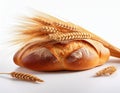 Wheat bread and Wheat. A wheat bread and shock of wheat on a white background Royalty Free Stock Photo