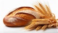 Wheat bread and Wheat. A wheat bread and shock of wheat on a white background Royalty Free Stock Photo