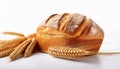 Wheat bread and Wheat. A wheat bread and shock of wheat on a white background Royalty Free Stock Photo