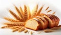 Wheat bread and Wheat. A wheat bread and shock of wheat on a white background Royalty Free Stock Photo