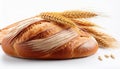 Wheat bread and Wheat. A wheat bread and shock of wheat on a white background Royalty Free Stock Photo