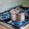 Pot on the gas stove. Cooking on a gas stove Royalty Free Stock Photo
