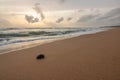 Landscape by the sea. Long, deserted beach sunset a special touch. Bentota, Sri Lanka, Asia Royalty Free Stock Photo