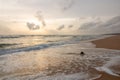 Landscape by the sea. Long, deserted beach sunset a special touch. Bentota, Sri Lanka, Asia Royalty Free Stock Photo