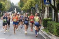 athletes run during a competitive marathon Royalty Free Stock Photo