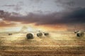Bales of hay in a field under a gloomy sky with beautiful clouds in the afterglow Royalty Free Stock Photo