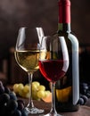Wine Glass. Glass of wine: red, white and ros Royalty Free Stock Photo