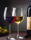 Wine Glass. Glass of wine: red, white and ros Royalty Free Stock Photo