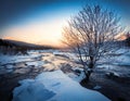 Rough wintry landscape with lone tree on a river bank. AI Generated image. Royalty Free Stock Photo