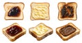 set of spread on bread toast loaf slice, side top view, on transparent cutout, PNG, marmite, custard, grape jelly jam Royalty Free Stock Photo
