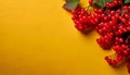Text Border Design: Red Viburnum on Yellow Table Royalty Free Stock Photo