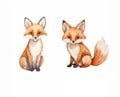 Stylized Watercolor Fox Royalty Free Stock Photo