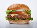 Juicy burger. Big and Juicy cheese burger on a white background Royalty Free Stock Photo