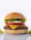 Juicy burger. Big and Juicy cheese burger on a white background Royalty Free Stock Photo