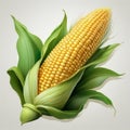 Ear of corn isolated on a white background. Fresh corncob Royalty Free Stock Photo