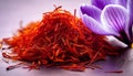 Saffron flowers. Royalty Free Stock Photo