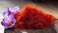 Saffron flowers. Royalty Free Stock Photo