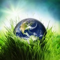 Earth in nature eco bio grass green Royalty Free Stock Photo