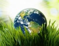Earth in nature eco bio grass green Royalty Free Stock Photo