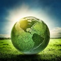 Earth in nature eco bio grass green Royalty Free Stock Photo