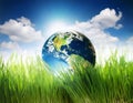 Earth in nature eco bio grass green Royalty Free Stock Photo