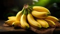 Pile of fresh bananas. Fresh healthy pile of bananas Royalty Free Stock Photo