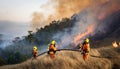Wildfire Fighters in Action Royalty Free Stock Photo