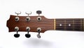 Acoustic Guitar Headstock Royalty Free Stock Photo