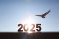 2025 new year rising sun and sunrise and flying eagle background Royalty Free Stock Photo