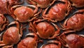 Crabs pattern - Food Pattern - Generated by Ai. Royalty Free Stock Photo