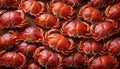 Crabs pattern - Food Pattern - Generated by Ai. Royalty Free Stock Photo