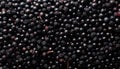 Elderberry - Food Pattern - Generated by Ai. Royalty Free Stock Photo