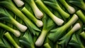 Leek - Food Pattern - Generated by Ai. Royalty Free Stock Photo