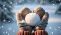 Winter scene, snowball and mittens Royalty Free Stock Photo