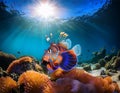Mandarinfish Swimming in the Sea with Sun Rays passing through the sea Royalty Free Stock Photo