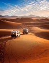 Walking in the desert. Cammel Caravan on Africa desert Royalty Free Stock Photo
