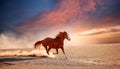 Red horse run in desert. Beautiful red horse run fast in sand against dramatic sky Royalty Free Stock Photo