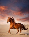Red horse run in desert. Beautiful red horse run fast in sand against dramatic sky Royalty Free Stock Photo