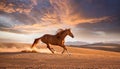 Red horse run in desert. Beautiful red horse run fast in sand against dramatic sky Royalty Free Stock Photo