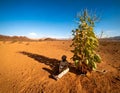 Unrecognizable man is sitting in the shade of a bean plant. Royalty Free Stock Photo