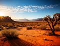 Scenic view of a desert landscape at sunset. Royalty Free Stock Photo