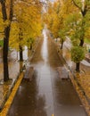 Autumn boulevard in the rain. Wonderful autumnal view of the city boulevard, avenue. Royalty Free Stock Photo