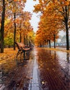 Autumn boulevard in the rain. Wonderful autumnal view of the city boulevard, avenue. Royalty Free Stock Photo