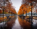 Autumn boulevard in the rain. Wonderful autumnal view of the city boulevard, avenue. Royalty Free Stock Photo