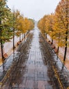 Autumn boulevard in the rain. Wonderful autumnal view of the city boulevard, avenue. Royalty Free Stock Photo