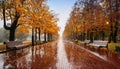 Autumn boulevard in the rain. Wonderful autumnal view of the city boulevard, avenue. Royalty Free Stock Photo