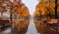 Autumn boulevard in the rain. Wonderful autumnal view of the city boulevard, avenue. Royalty Free Stock Photo