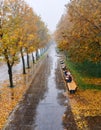 Autumn boulevard in the rain. Wonderful autumnal view of the city boulevard, avenue. Royalty Free Stock Photo