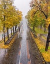 Autumn boulevard in the rain. Wonderful autumnal view of the city boulevard, avenue. Royalty Free Stock Photo